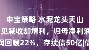 申宝策略 水泥龙头天山股份Q1罕见减收却增利，归母净利润回暖22%，存续债50亿|债市财报观察
