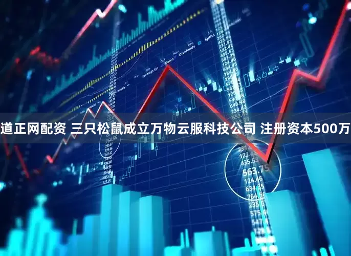 道正网配资 三只松鼠成立万物云服科技公司 注册资本500万