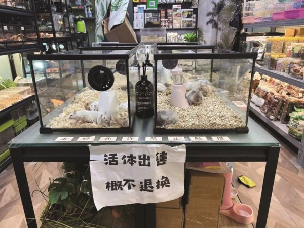易投投 异宠不易“宠” 亟待规范管理跟进