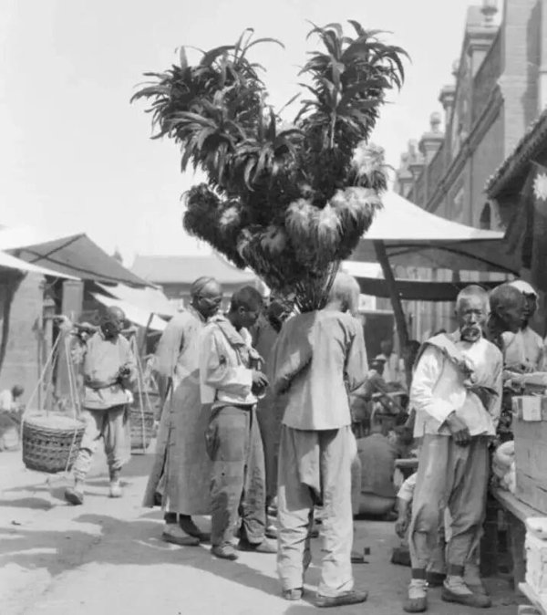 荣耀配资 古代打扫房子离不开它，现今却是熊孩子闻风丧胆的“利器”